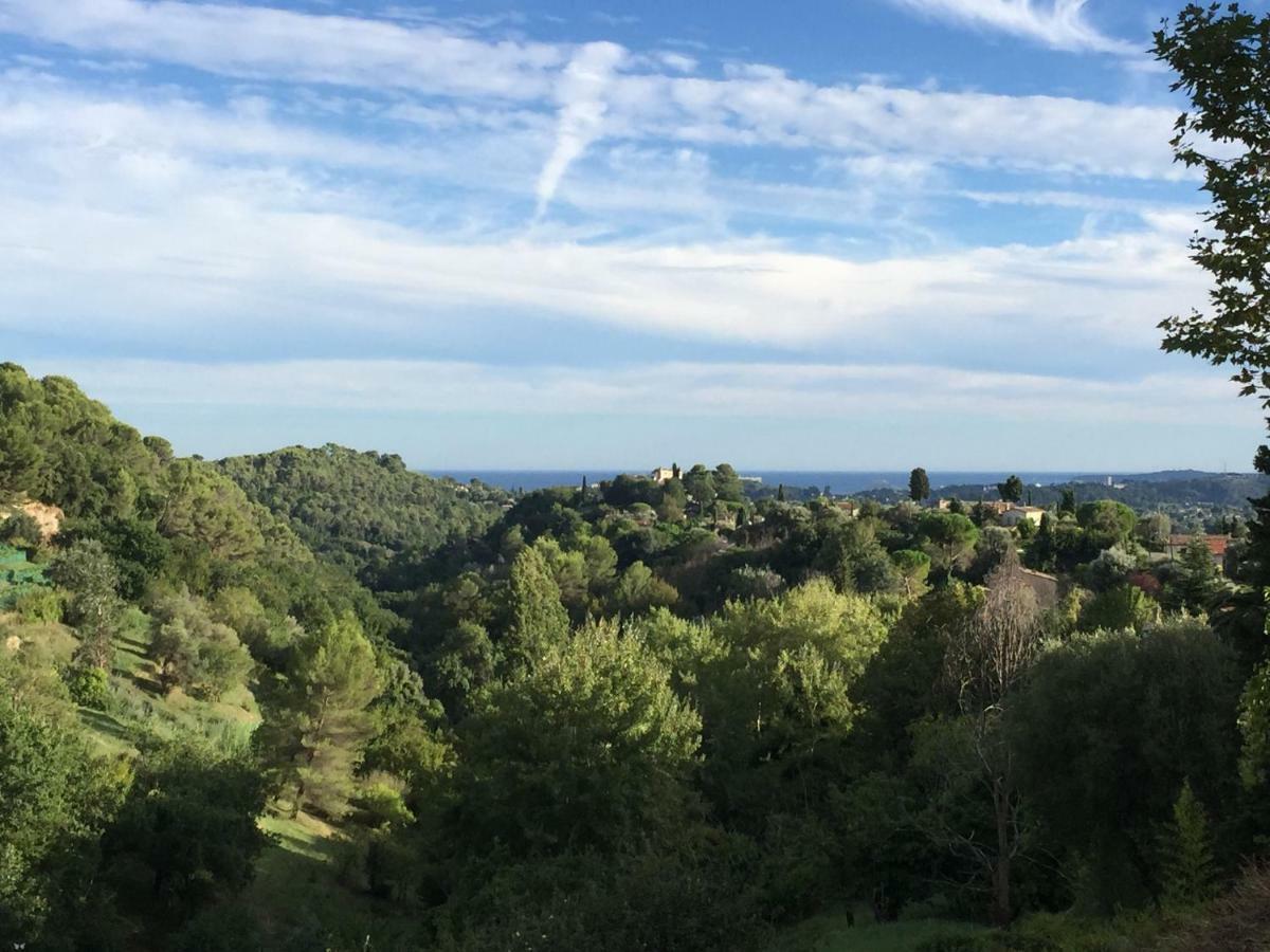 L'élégante